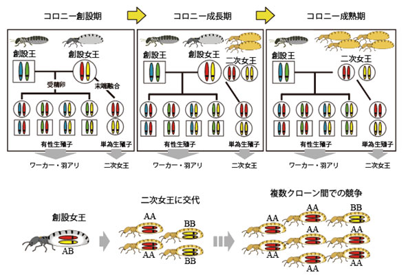 文章を入れてください