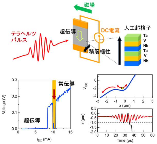 文章を入れてください