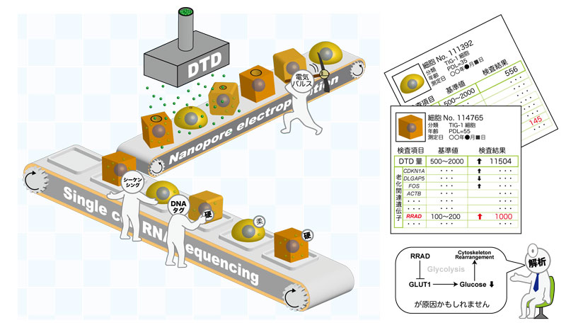 文章を入れてください