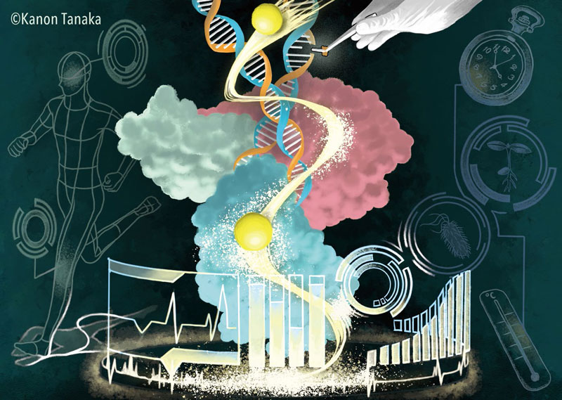 文章を入れてください