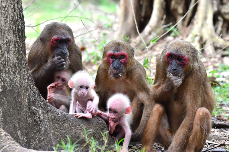 文章を入れてください