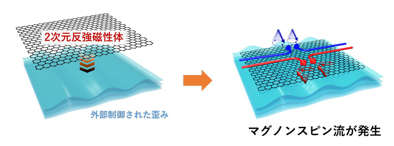 文章を入れてください