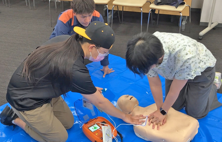 文章を入れてください