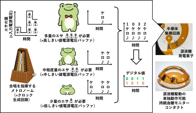 文章を入れてください