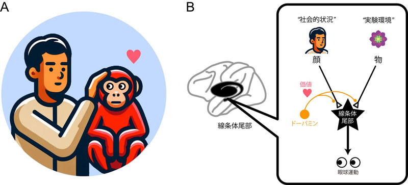 文章を入れてください