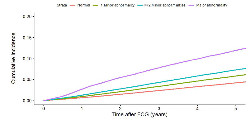 文章を入れてください