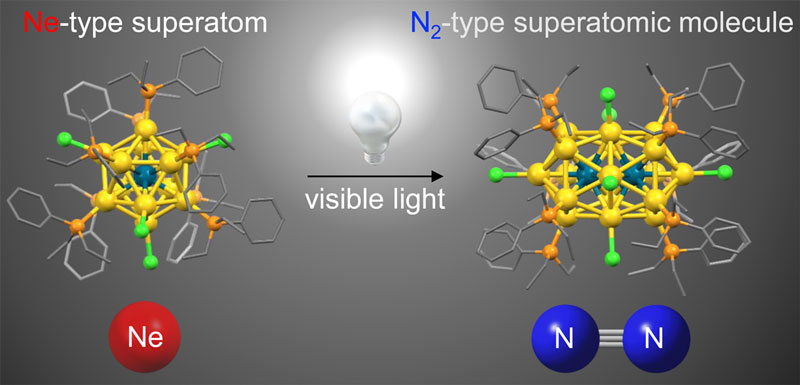 文章を入れてください