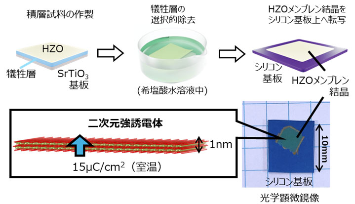 文章を入れてください