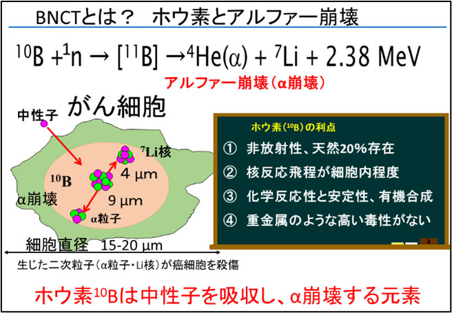 文章を入れてください