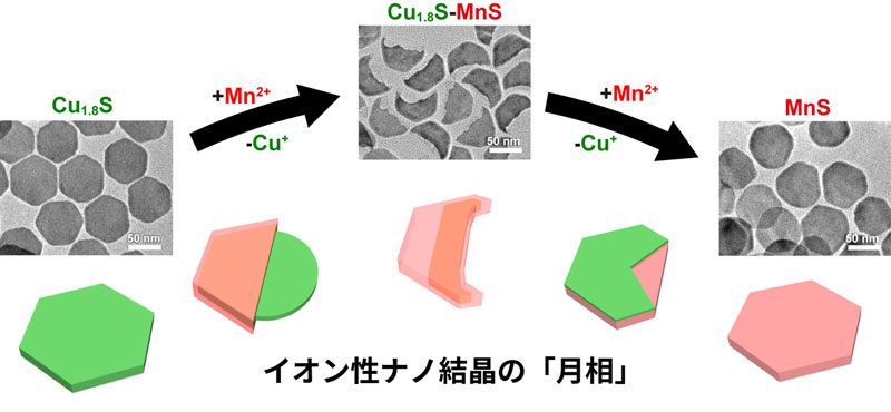 文章を入れてください