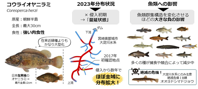 文章を入れてください