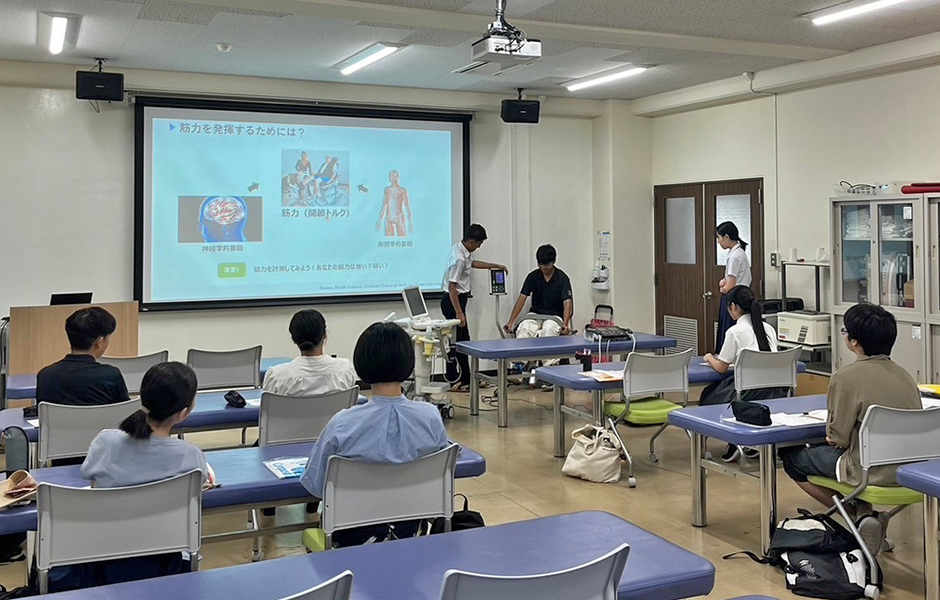 文章を入れてください