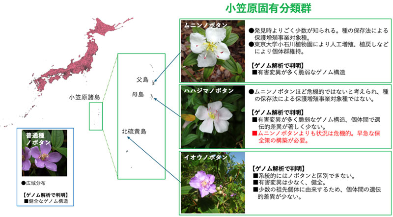 文章を入れてください