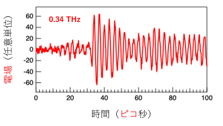 文章を入れてください