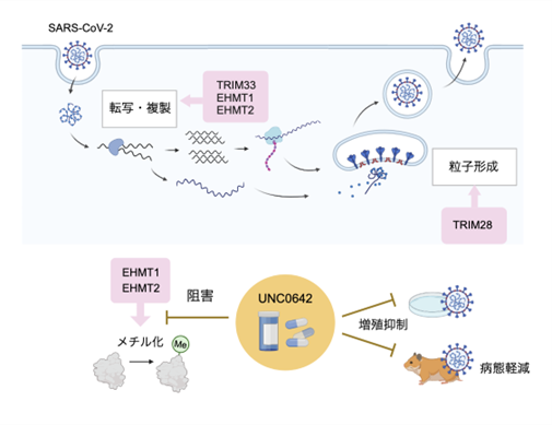 文章を入れてください