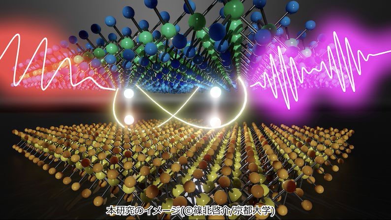 文章を入れてください