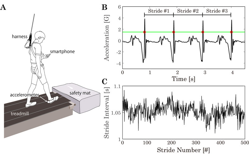 文章を入れてください