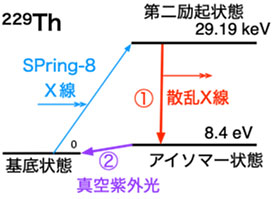 文章を入れてください