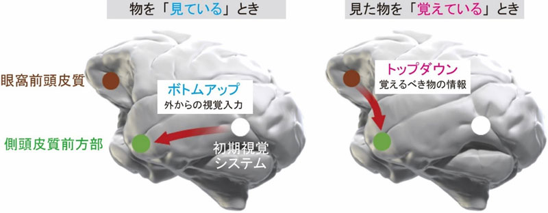文章を入れてください