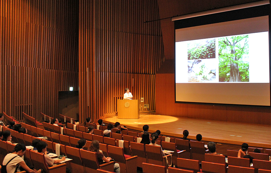 文章を入れてください