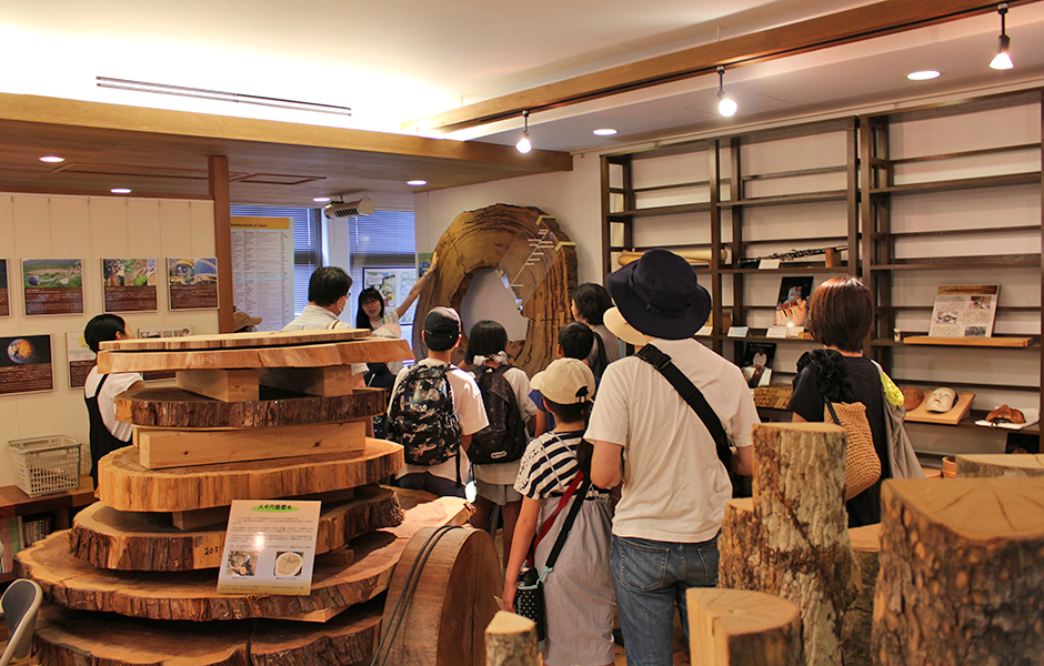 文章を入れてください