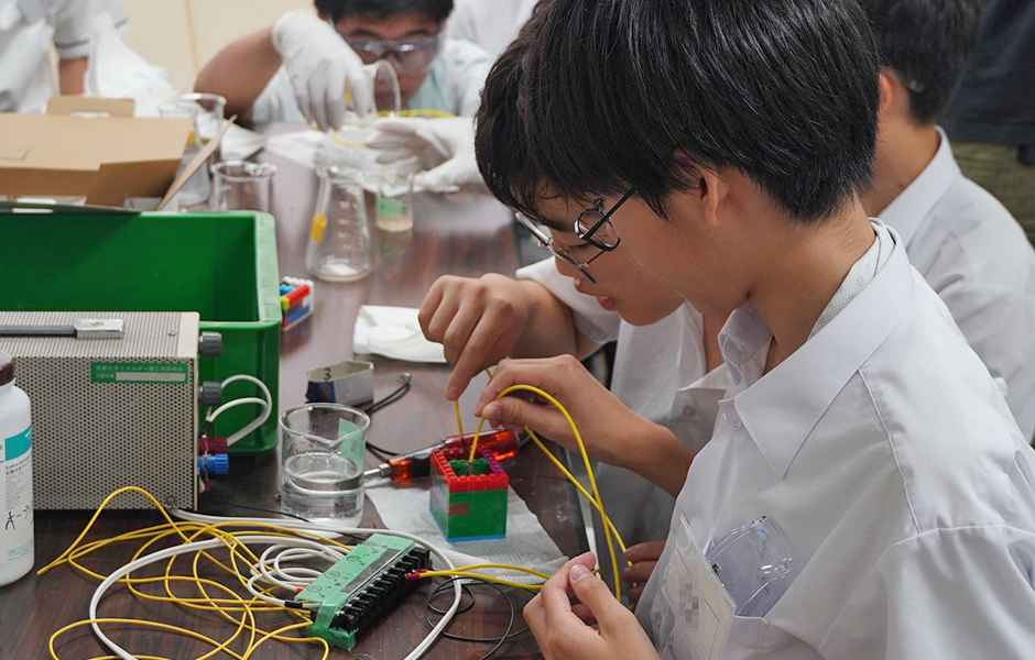 文章を入れてください