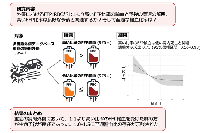 文章を入れてください