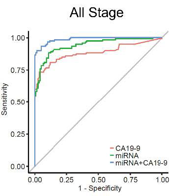 文章を入れてください