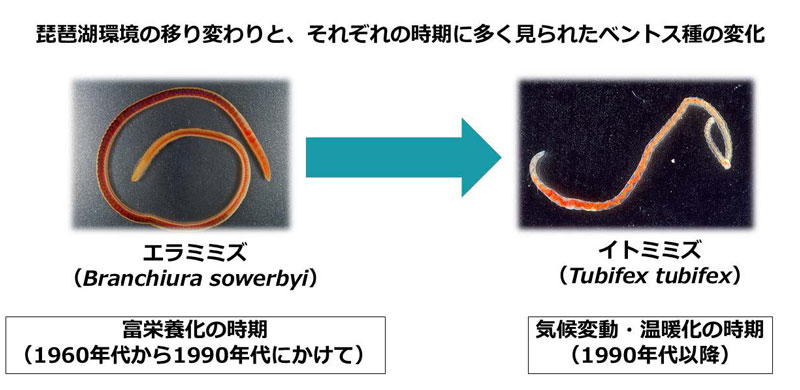 文章を入れてください