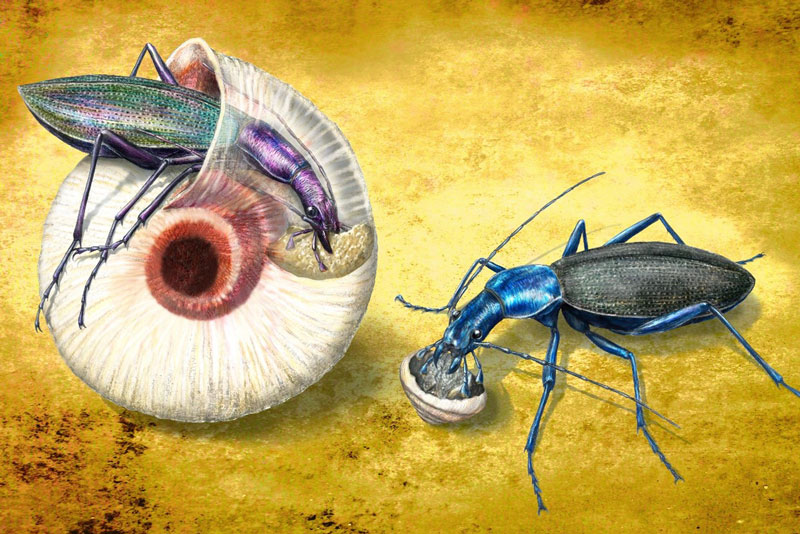 文章を入れてください