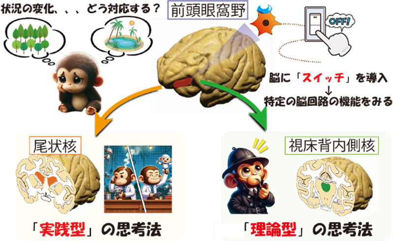 文章を入れてください