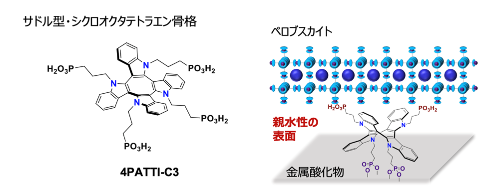 文章を入れてください