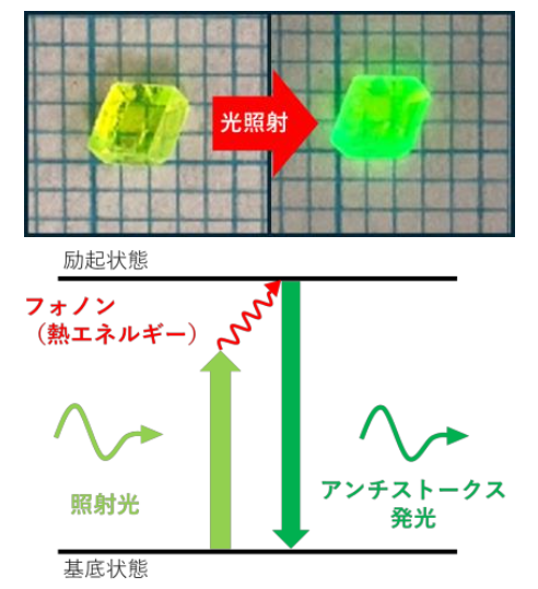 文章を入れてください