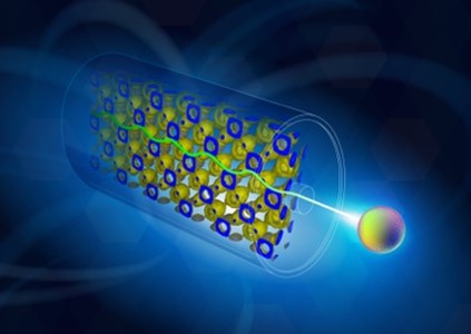 文章を入れてください