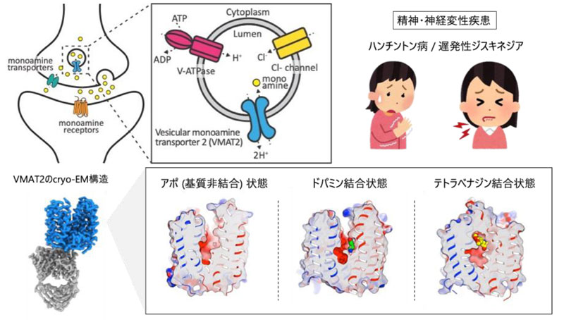 文章を入れてください