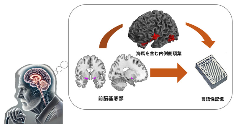 文章を入れてください