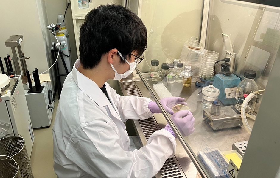 文章を入れてください