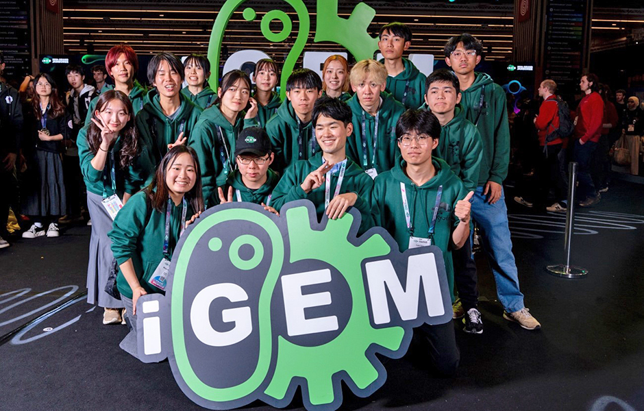 文章を入れてください