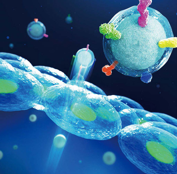 文章を入れてください