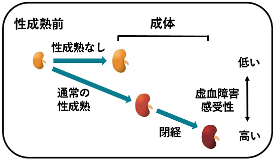 文章を入れてください