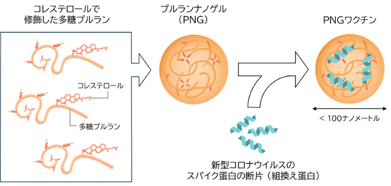 文章を入れてください