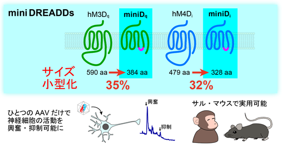 文章を入れてください
