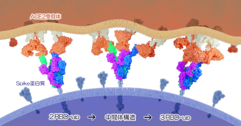 文章を入れてください