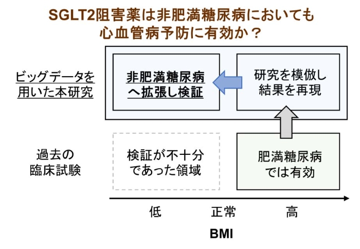 文章を入れてください