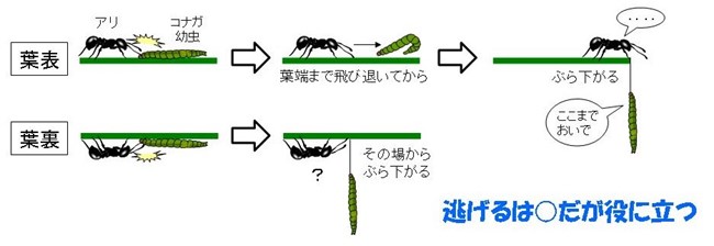 文章を入れてください