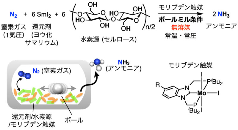文章を入れてください