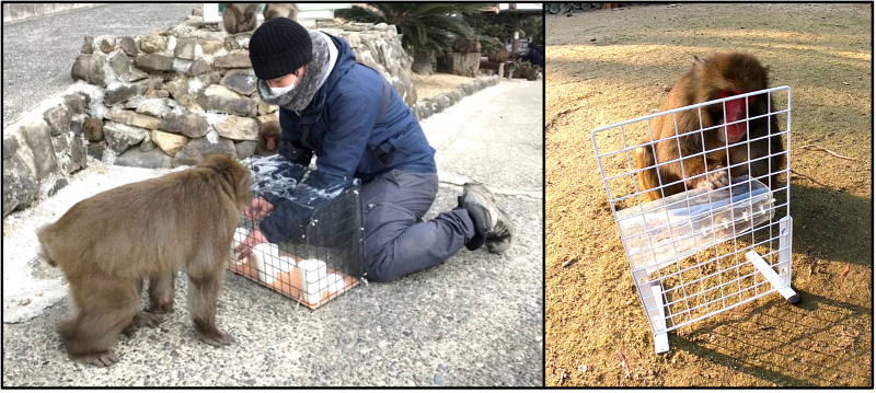 文章を入れてください