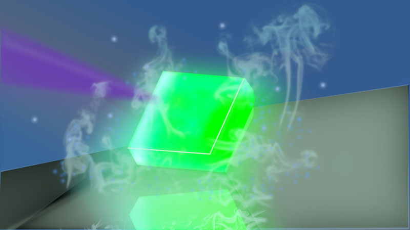 文章を入れてください