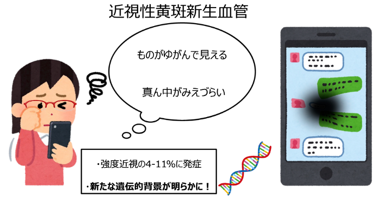 文章を入れてください