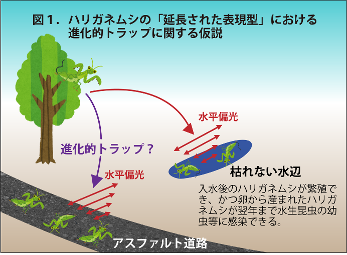 文章を入れてください